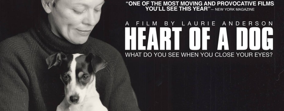 heart of dog